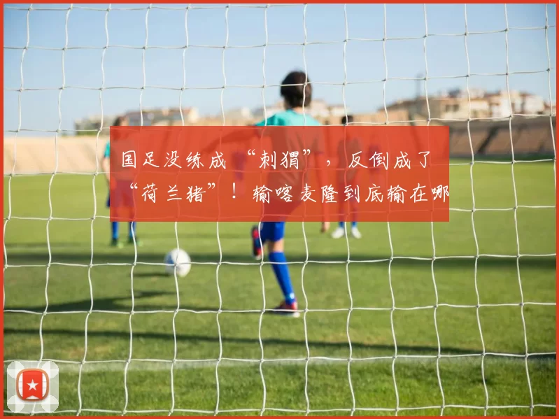 国足没练成 “刺猬”，反倒成了 “荷兰猪”！输喀麦隆到底输在哪
